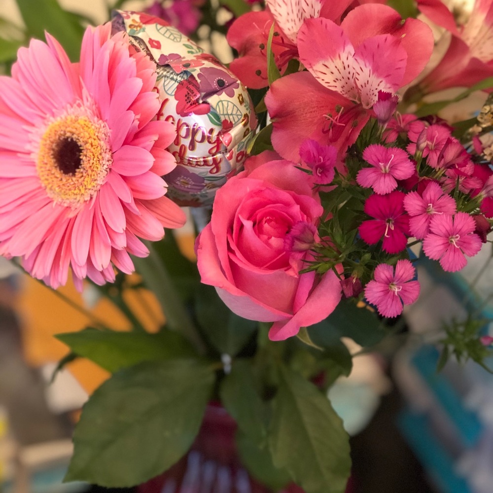 Meet your Posher, Erika